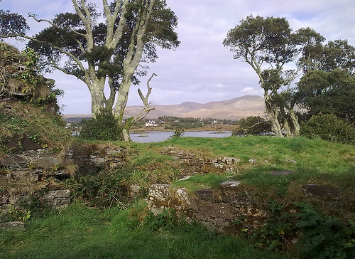 Dunboy Castle